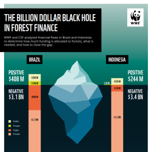 Forest finance summary front cover