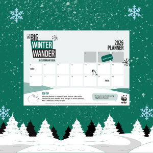 Big Winter Wander Planner
