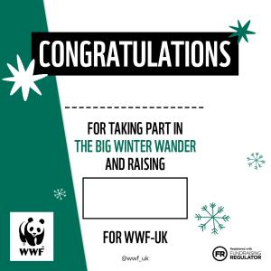 Big Winter Wander Certificate