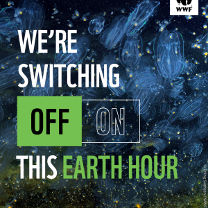 Jellyfish that appear to be glowing blue. Overlapping text reads, 'We're switching off, #EarthHourScotland'
