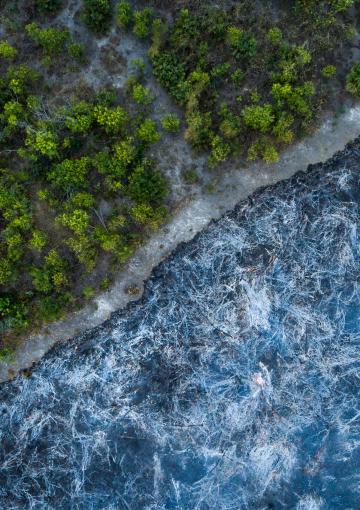 Climate change | WWF