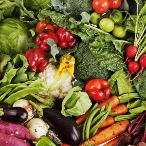 Collection of freshly picked vegetables, South Africa.