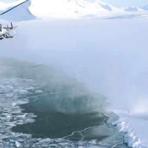 A tranquilising shot has just been fired on a polar bear from a helicopter, Svalbard, Norway.