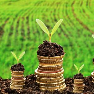 Currency and money in soil