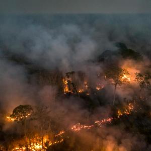 Amazon Rainforest deforestation and fire