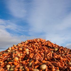 Six billion meals’ worth of edible food goes to waste