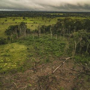 Aerial view of Amazon deforestation, municipality of Calamar, Guaviare Department, Colombia.