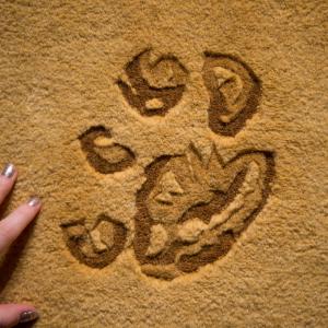 Close up of a hand touching a brown rug with a paw print on it