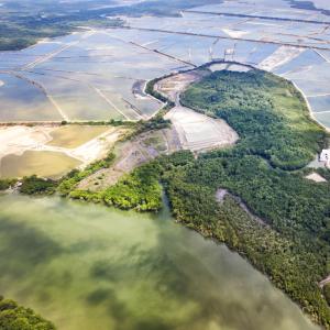 Areal shot of mangrove and shrimp farms, Isla Escalante, Ecuador.