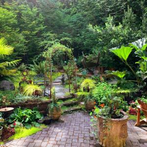 Courtyard garden with pots