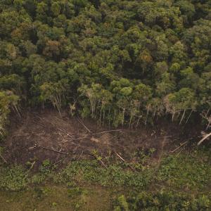 Aerial view of deforestation in the Colombian Amazon.