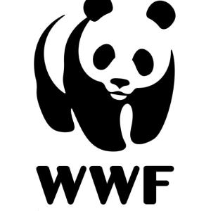 A black pumpkin stencil of the WWF logo
