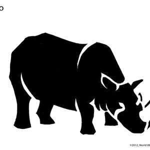 A black pumpkin stencil of a rhino
