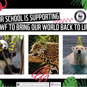 A poster for schools to show they're fundraising for WWF