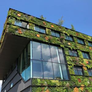 Green architecture
