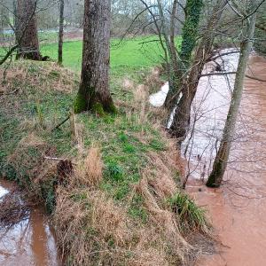 An image of a river with brown water after pollution