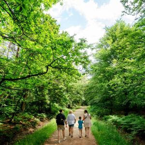 Feel good forest trails family shot through forest