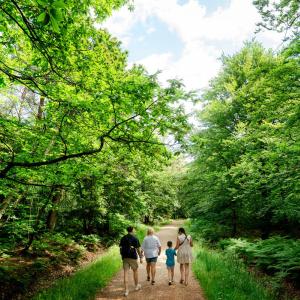 Feel good forest trails family shot through forest