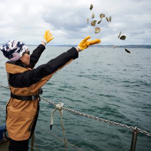 People throwing native oysters into the Firth of Forth