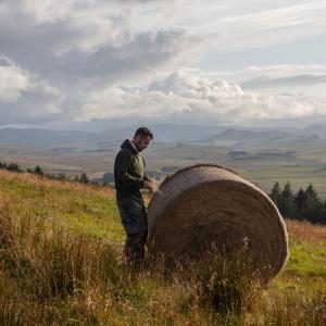 Farmer Stuart Mitchell, 30, checks bales of hay on Whitriggs Farm, Hawick, Scotland. This is a mixed organic and regenerative farm in the Scottish Borders.