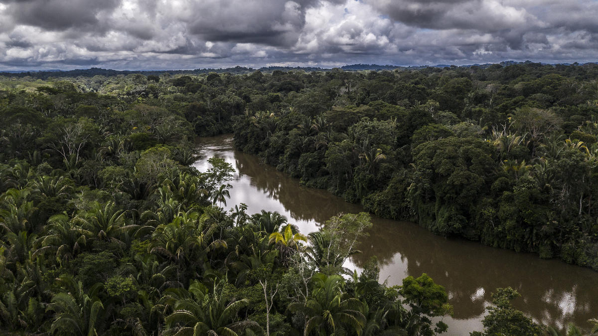 In this photo: Jamari river. Uru-Eu-Wau-Wau people took a WWF team to follow them in the surveillance of the territory to identify new invasions and deforestation. The expeditions to do the surveillance happen frequently and involve many people in the community. Indigenous people use boats and also walk on foot on paths hard to reach.  A new tool is about to be used to monitor deforestation, invasion and land grabbing, a drone. The Uru-Eu-Wau-Wau people received drone piloting training in a partnership between Kanindé Ethno-Environmental Defense Association and WWF.      © Marizilda Cruppe