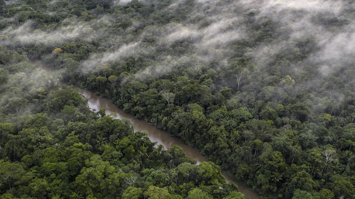 A mist covers the Aldeia Jamari in the Uru-Eu-Wau-Wau indigenous land, Rondônia. © Marizilda Cruppe