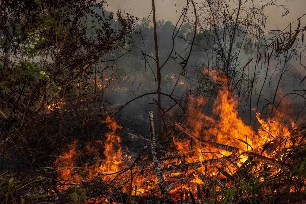 Assunto: Incêndio florestal provocado - Floresta amazônica - Estação Ecológica do Cuniã
© Andre Dib
