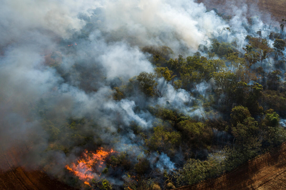 
Aerial view of triggered forest fire  on September 2020, in the Amazon Rainforest, Vilhena- Rondonia state.  © Andre Dib / WWF-Brazil 