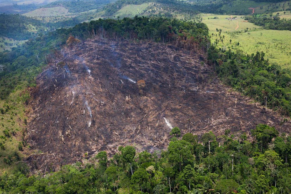 A WWF-Brazil team flew over the southern region of Pará and northern Mato Grosso between the cities of Itaituba, Novo Progresso, São Félix do Xingu and Guarantã do Norte. In a period of three hours 18 smoke spots were observed. September 2019, Brazil. © Araquém Alcântara
