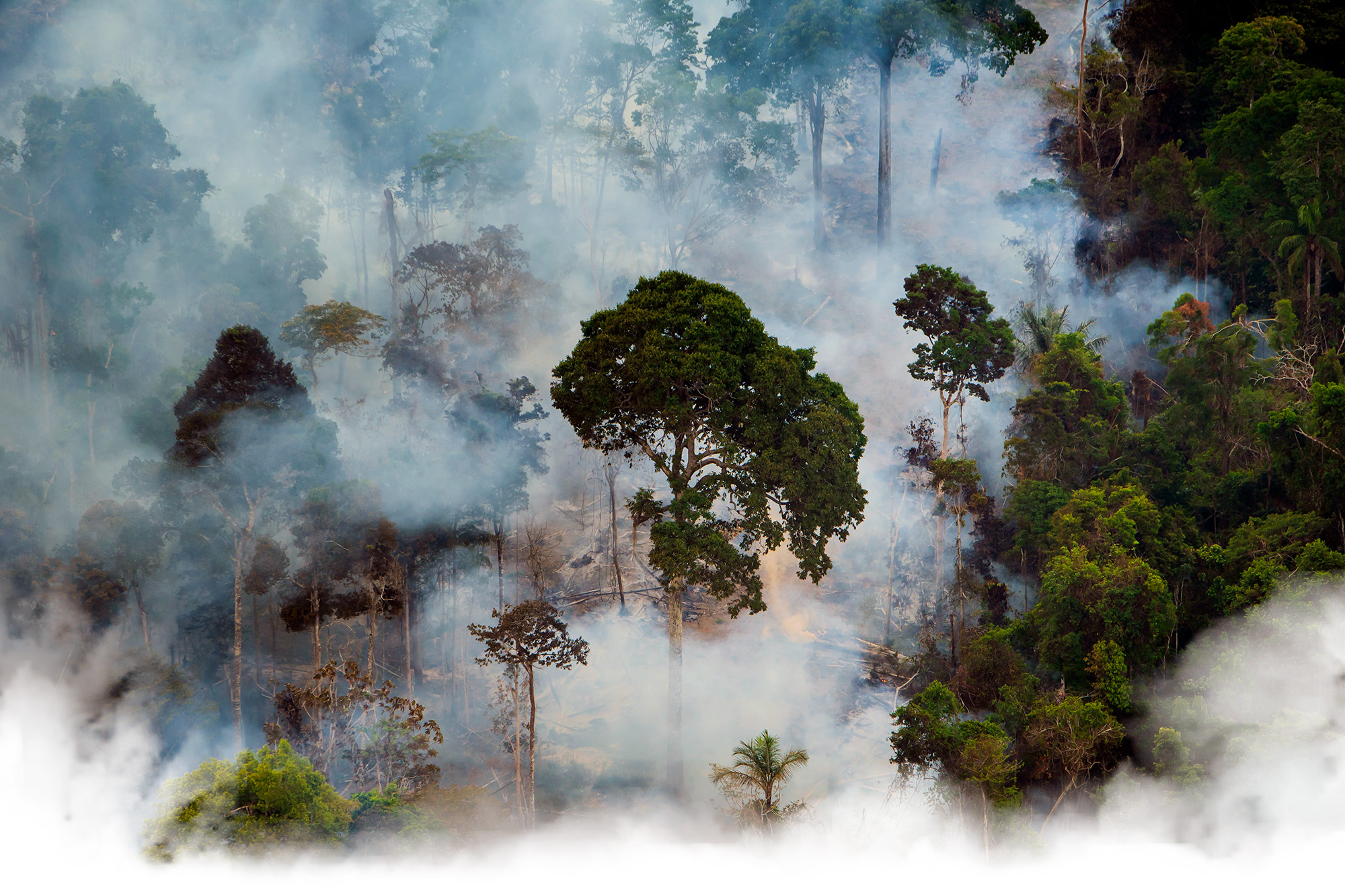 WW2155193 - A WWF-Brazil team flew over the southern region of Pará and northern Mato Grosso between the cities of Itaituba, Novo Progresso, São Félix do Xingu and Guarantã do Norte. In a period of three hours 18 smoke spots were observed. September 2019, Brazil. © Araquém Alcântara; 